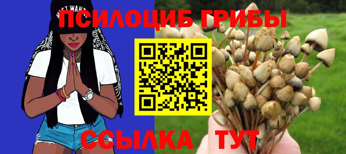 Аша  Галлюциногенные грибы мицелий  Вход с VPN 